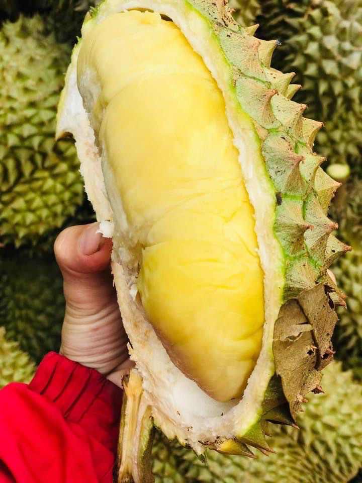 cơm sầu riêng ri6 Long Khánh