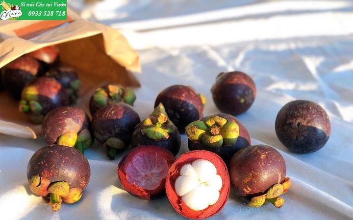 Bảo Quản Măng Cụt Sau Khi Hái